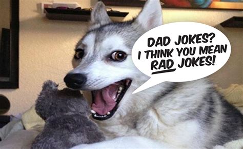 dirty dad jokes that are funny